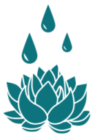 Lotus with three raindrops watering it